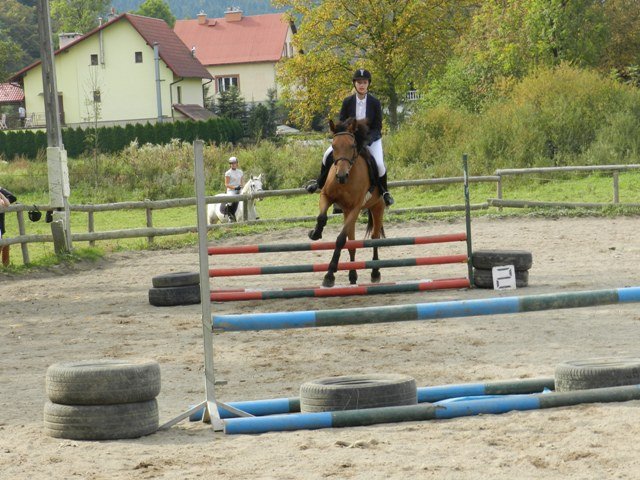 Babie Lato 2016